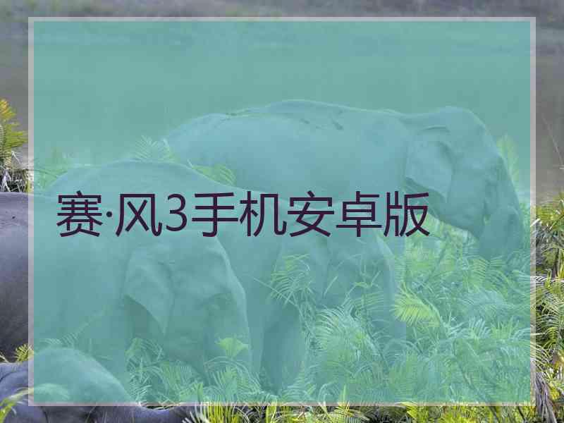 赛·风3手机安卓版